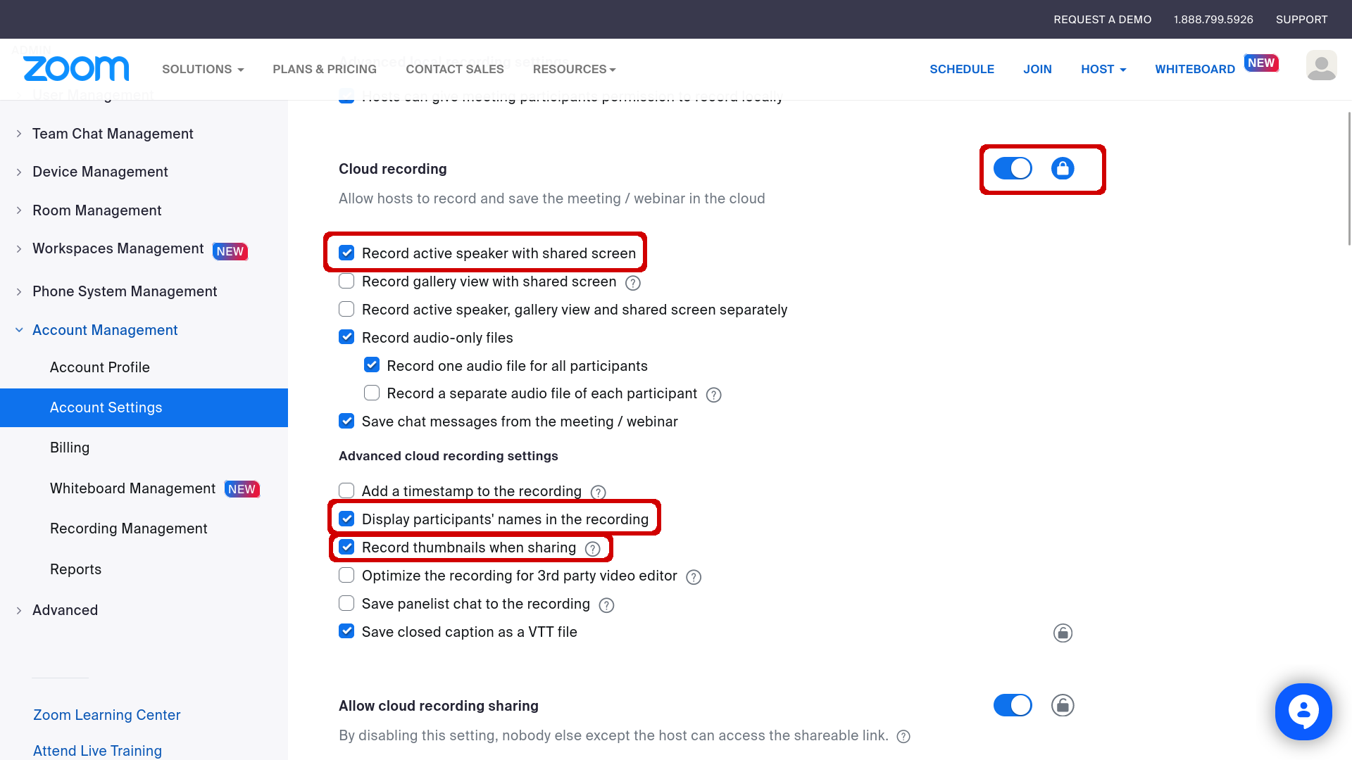 Options d'enregistrement cloud dans Zoom