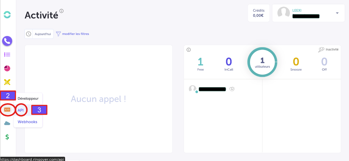 Section API du tableau de bord Ringover